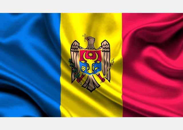 Regulile de acordare și retragere a permisiunii de folosire a denumirii oficiale sau istorice a statului