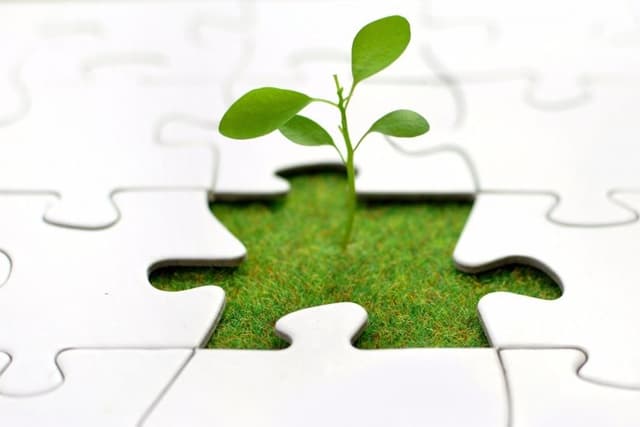 Stimulente fiscale și sociale pentru muncitorii zilieri