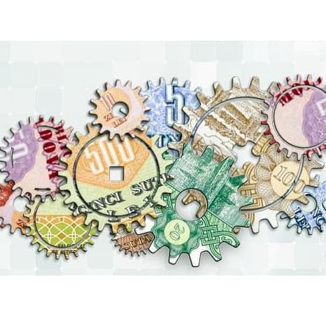 Rezultatele licitaţiei de plasare a VMS