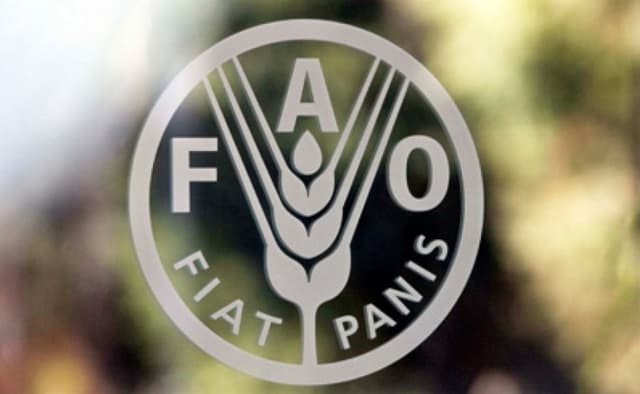 FAO va realiza în Moldova încă două proiecte de asistenţă tehnică