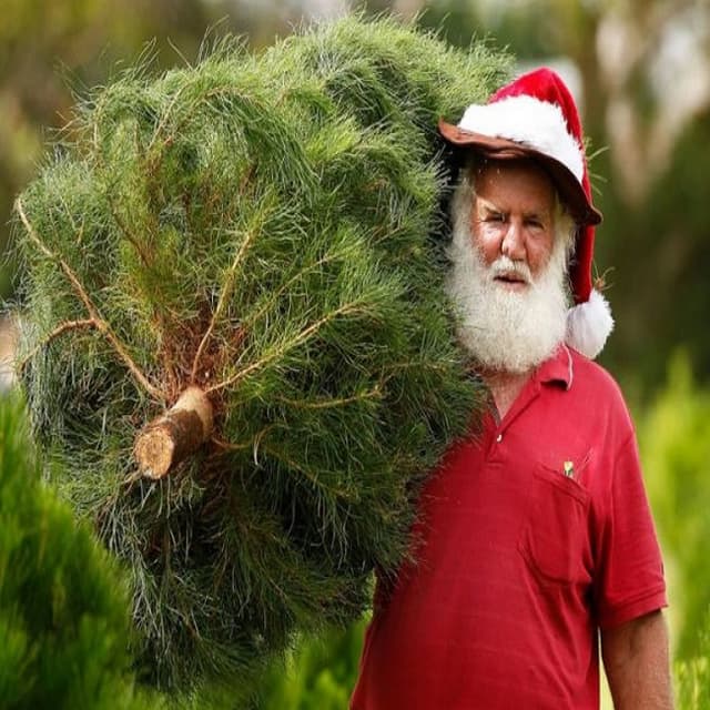 SFS intensifică acțiunile de conformare