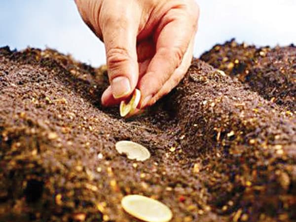 Poziția MAIA  coincide cu cea a reprezentanților producătorilor în ce privește menținerea cotei reduse a  T.V.A. pentru producția agricolă