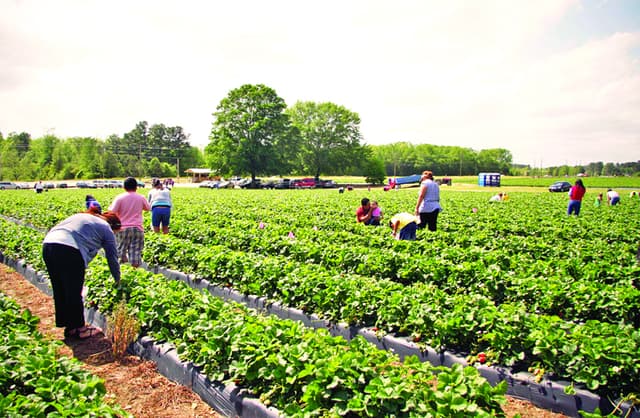 Sectorul care atrage tot mai mulți angajați în Moldova