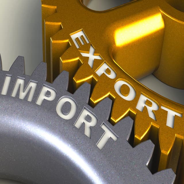 Utilizarea vagoanelor marfare – import de servicii?