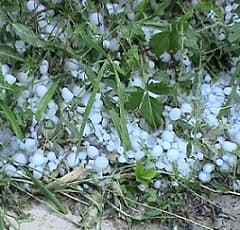 Fonduri mutuale pentru gestionarea riscurilor în agricultură