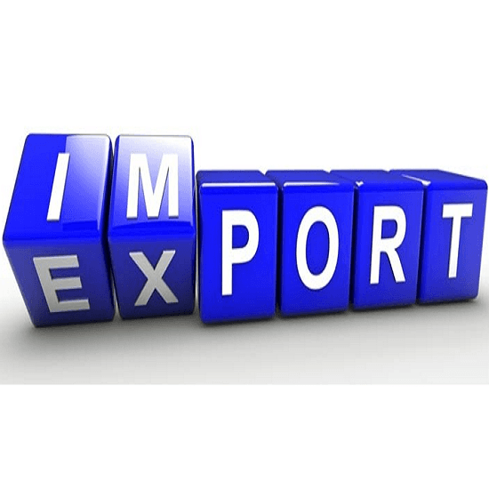 Guvernul a aprobat Codul vamal rescris