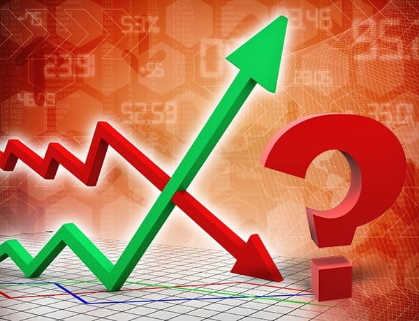 Controlul inflației și reglementarea prețurilor la produsele petroliere vor fi examinate de comisii parlamentare speciale