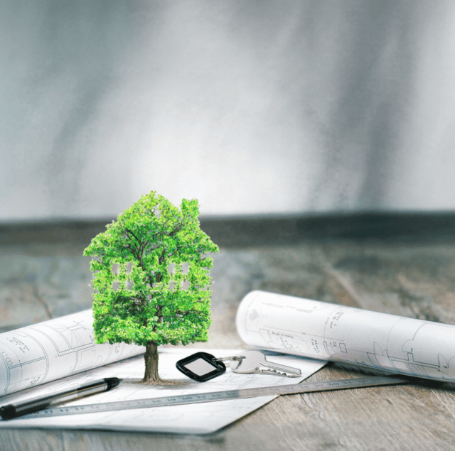 Условия продажи земель, занятых спроектированными, но не созданными лесополосами