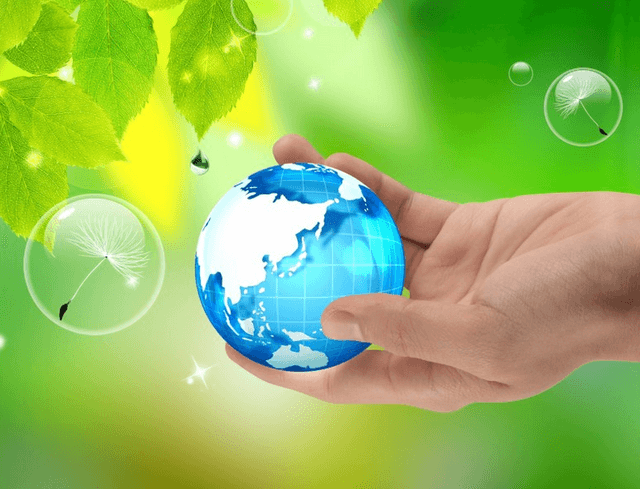 În 2016 va începe să funcționeze laboratorul de testare a biocombustibilului solid