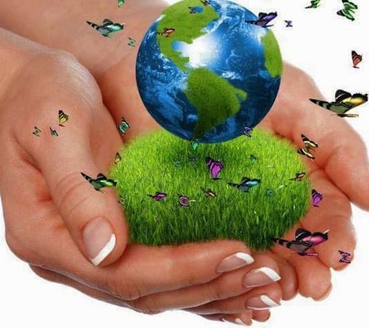 Sunt aprobate cotele taxelor pentru poluarea mediului