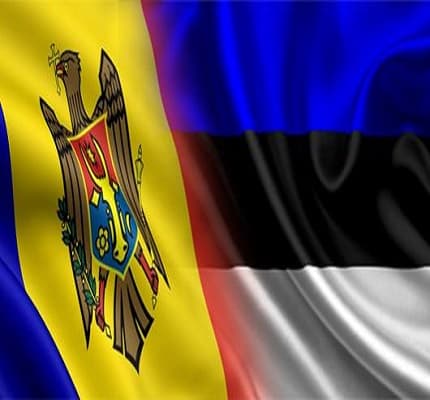 Moldovenii din Estonia. Conceptul capacității de muncă