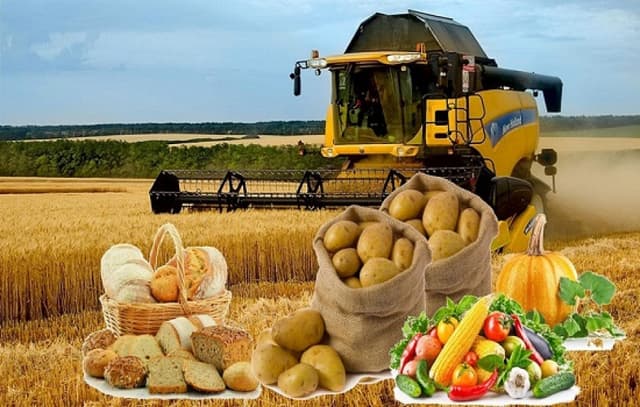 Producția globală agricolă s-a majorat în anul 2021 cu circa 50%