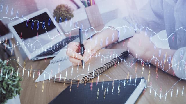 Налоговые отчисления СЭЗ возросли