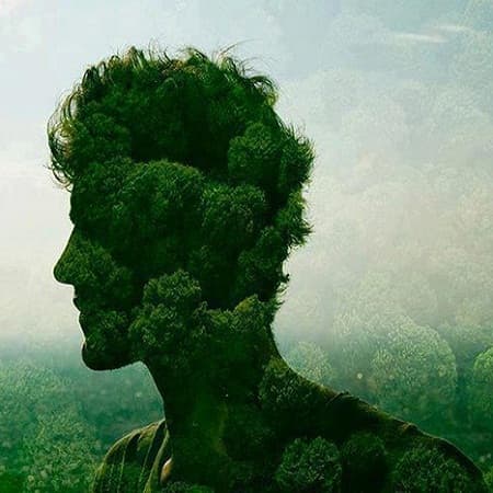 Înăsprirea amenzilor pentru utilizarea frauduloasă a resurselor naturale