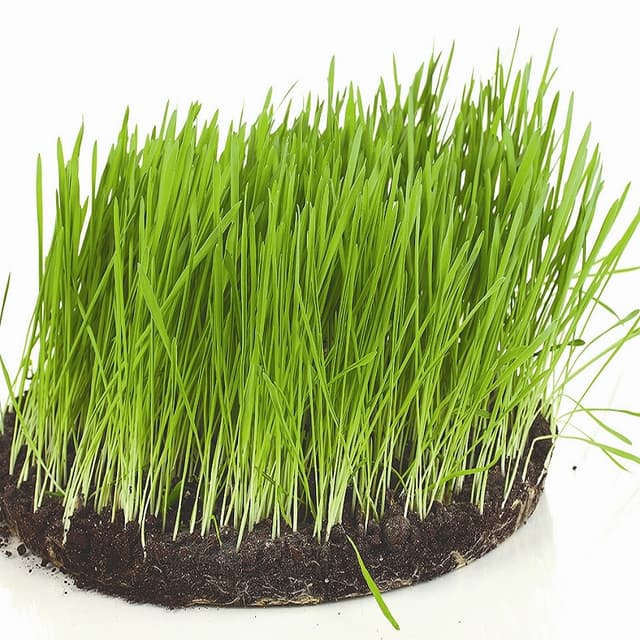 Calculare a cuantumului plății anuale pentru arenda bunurilor agricole