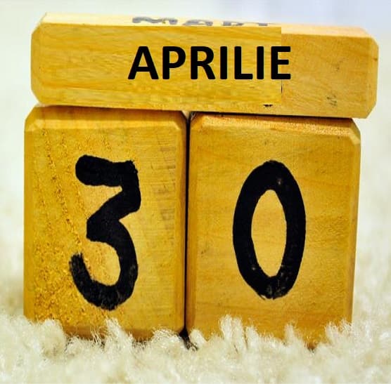 SFS: „Declaraţia precompletată” – soluţie de eficientizare a procesului de raportare destinat persoanelor fizice