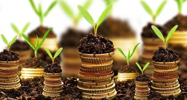 Прибыль страховых компаний Молдовы в I квартале 2015 г. составила 61,9 млн леев