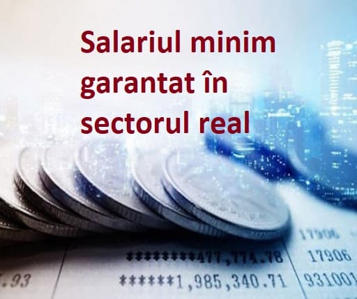 Salariul minim garantat în sectorul real va constitui 2935 lei lunar