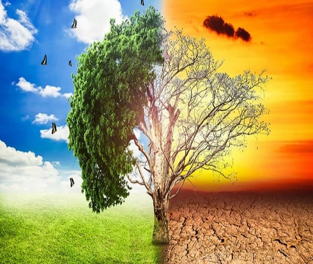 Elaborarea politicilor în domeniul schimbărilor climatice