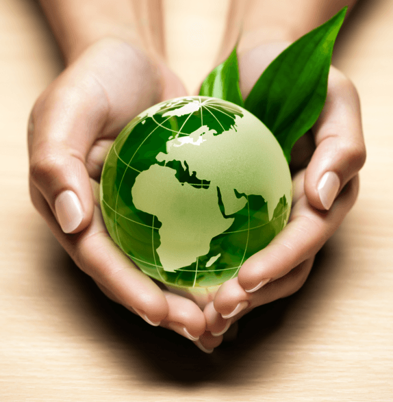 Чем полезны эко-инновации для малого и среднего бизнеса?