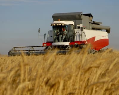 Три госпредприятия в области сельского хозяйства приносят прибыль