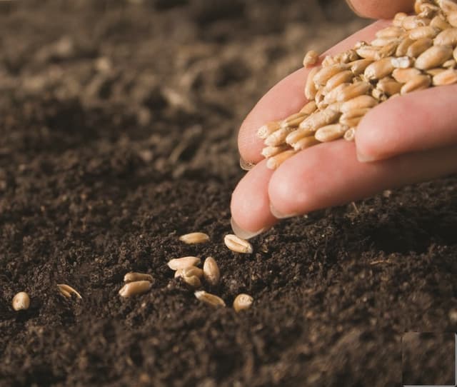 Privind asigurarea socială a membrilor gospodăriilor ţărăneşti şi a persoanelor angajate în GŢ