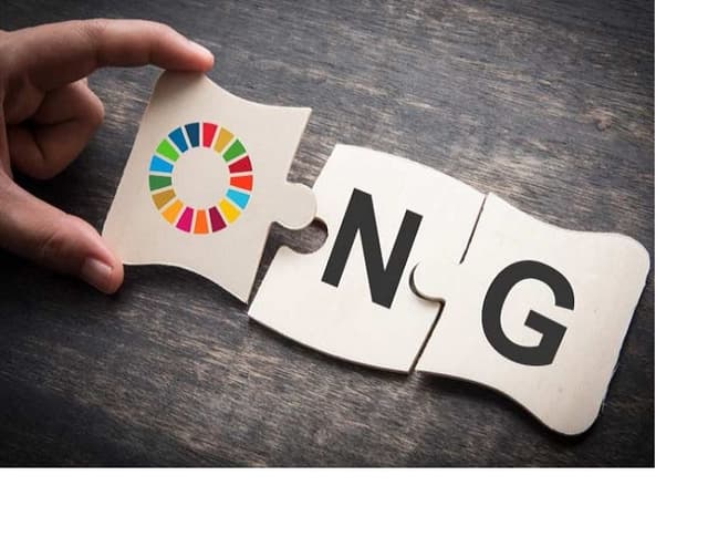 Organizațiile necomerciale: particularitățile contabilității și raportarea financiară