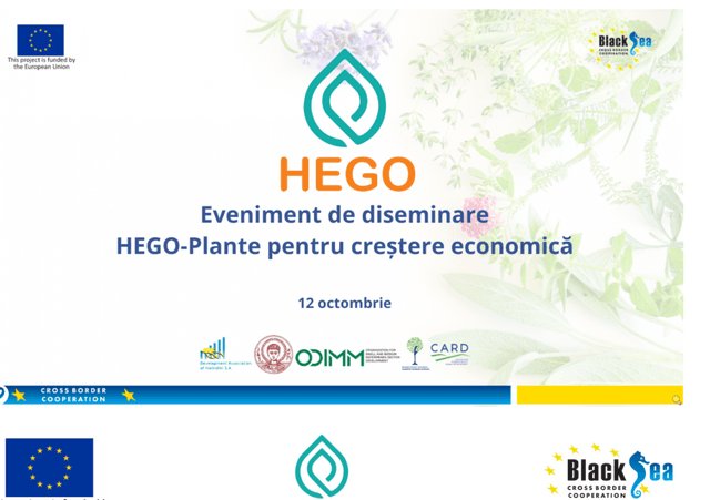 HEGO: valorificarea potențialului neexplorat