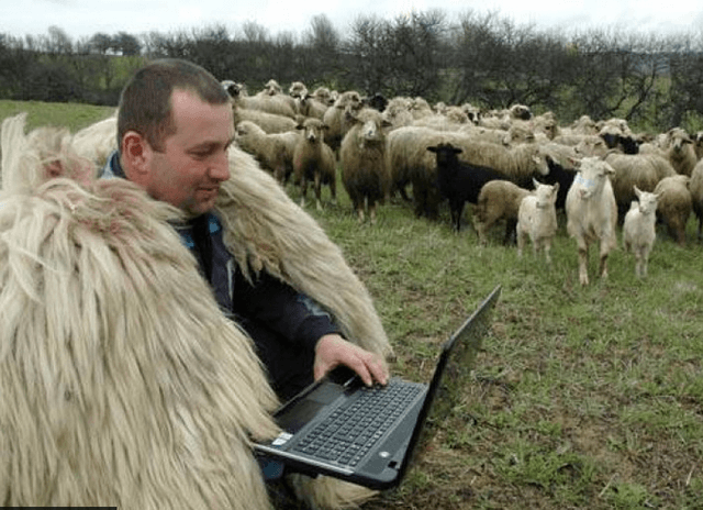 Internetul în satele moldovenești, de două ori mai accesibil decât apa curentă și de 50 de ori decât canalizarea