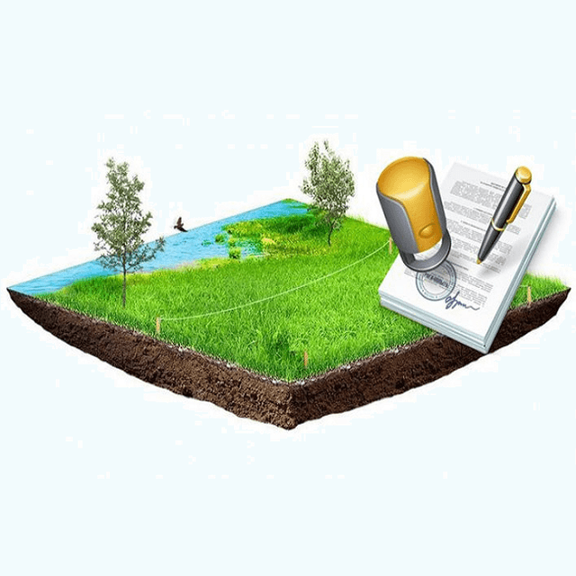 Transportarea produselor agricole prin posturile vamale interne