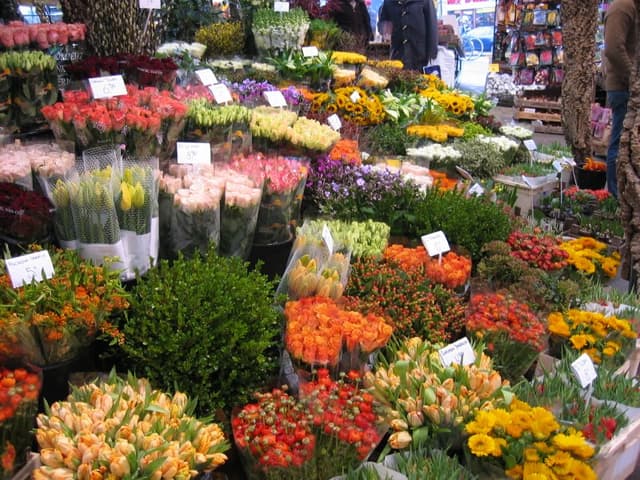 Comercianții de flori, verificați de Serviciul Fiscal de Stat în această săptămână (VIDEO)