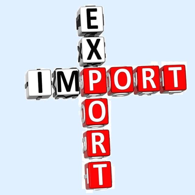 Импортно-экспортные услуги в сфере IT