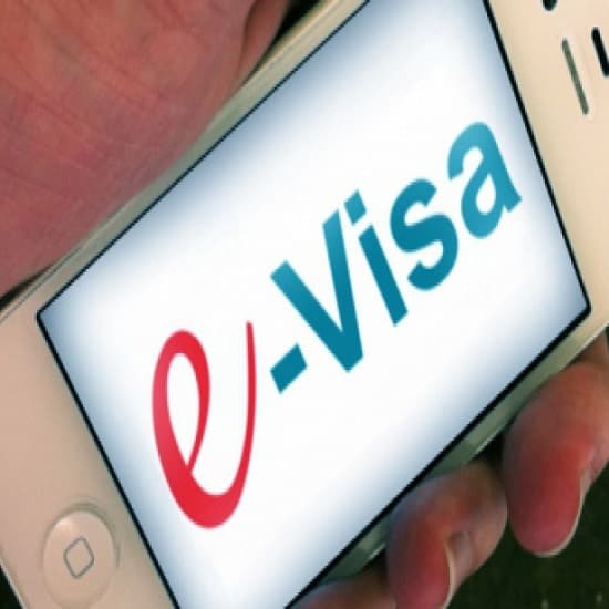 Viză de tip D: dreptul la lungă ședere pentru activități în domeniul IT