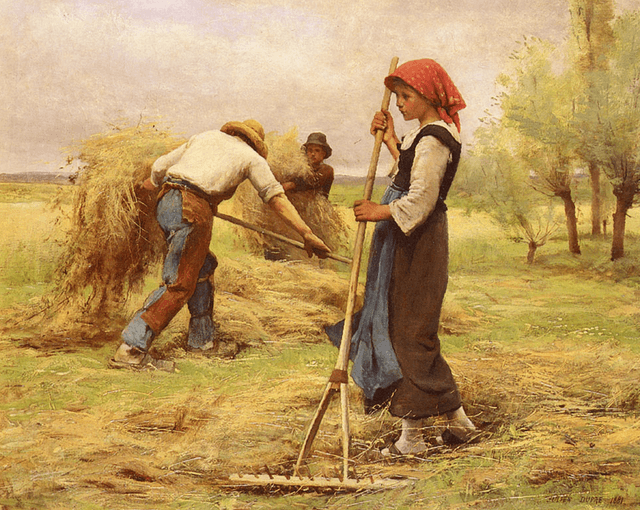 Recolta 2015: Statistici și prognoze