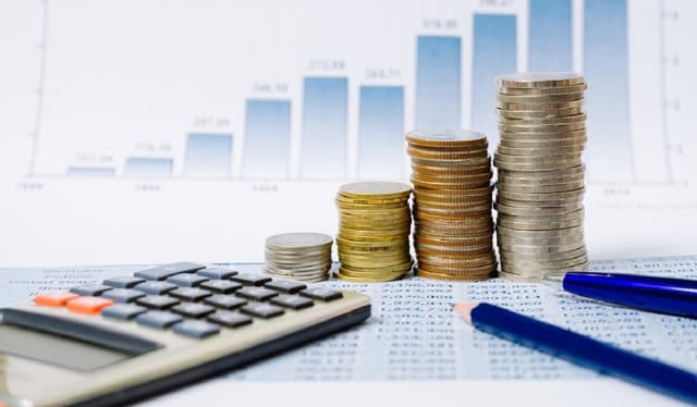 Executarea BPN și a componentelor acestuia în primele cinci luni