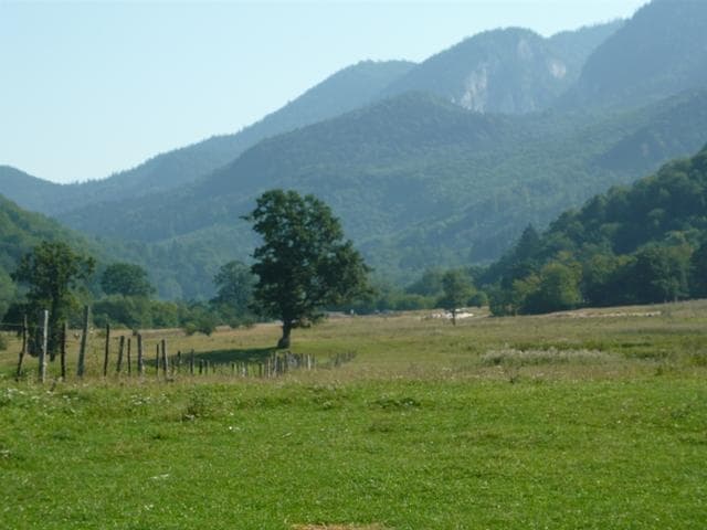 Se schimbă legea prin care străinii pot cumpăra teren în România