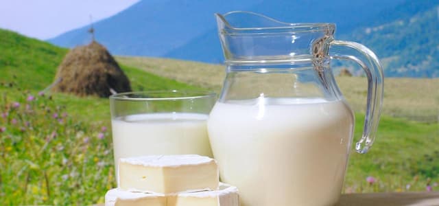 Producţia globală agricolă în primele trei luni