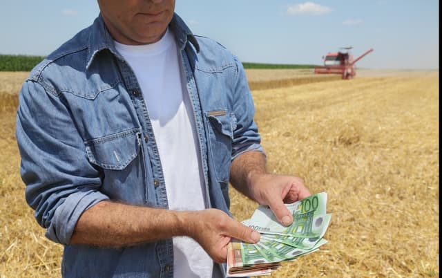 PNAET:  finanțarea afacerilor tinerilor continuă