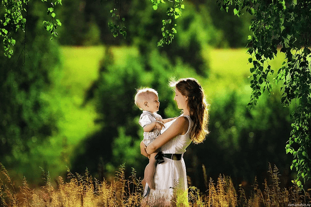 О праве лица, работающего по ИТД, на получение пособий по материнству при наличии доходов по паевым свидетельствам