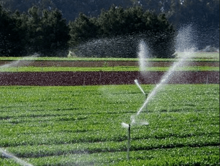 Noi oportunități  de finanțare a producătorilor,care vor investi în agricultura  irigată