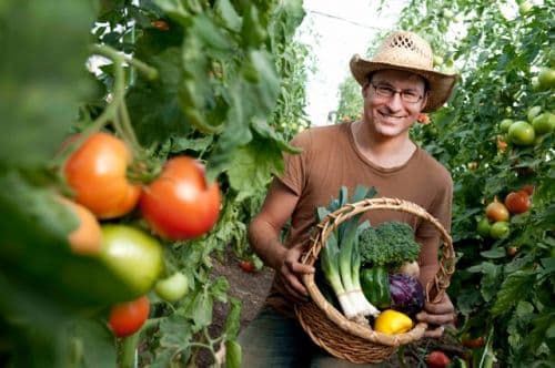 Фермеры Молдовы требуют объявить режим чрезвычайной ситуации в связи с засухой