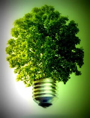 Moldova va beneficia de granturi  din Fondul  Parteneriatului Europei de Est pentru Eficiență Energetică și Mediu