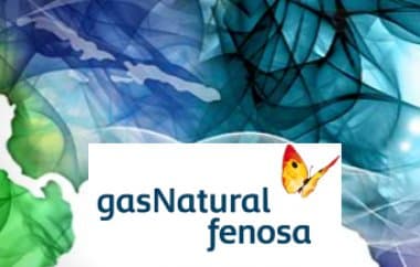 Președintele Gas Natural Fenosa: Am epuizat toate rezervele financiare. ANRE este obligată să adopte o decizie