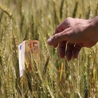 IFAD: новый проект для устойчивого развития сельского хозяйства