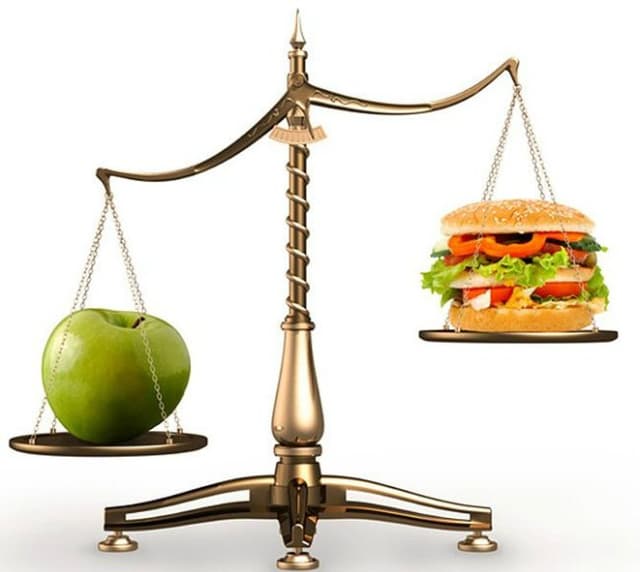 В Молдове экспорт агропродукции превысил импорт