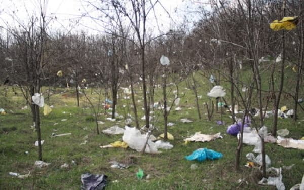 Taxa ecologică a adus la BPN 17 mil. lei