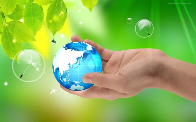 Planul anual de activitate a Proiectului  Energie și Biomasă va ridica eficiența energetică a Moldovei