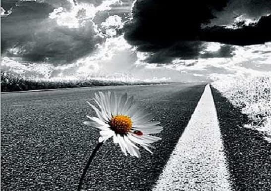 Изменение назначения некоторых сельхозземель на трассе М3