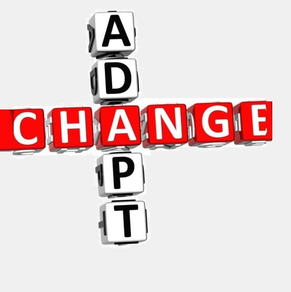 CNAS: regulament tranzitoriu la SI „Protecția Socială”