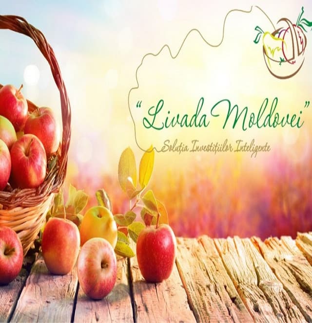 Проект «Livada Moldovei» продлят до мая 2023 г.